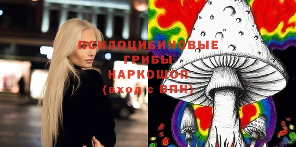 экстази Арсеньев