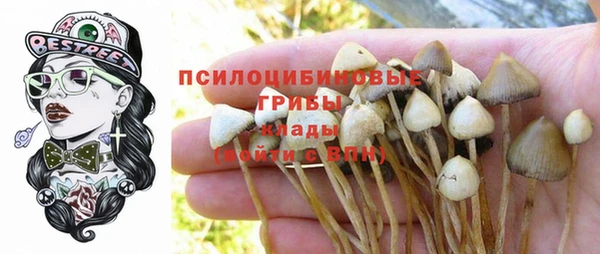 кокс Аркадак